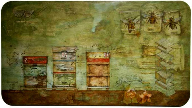 Beehives 5, 17 and 32
